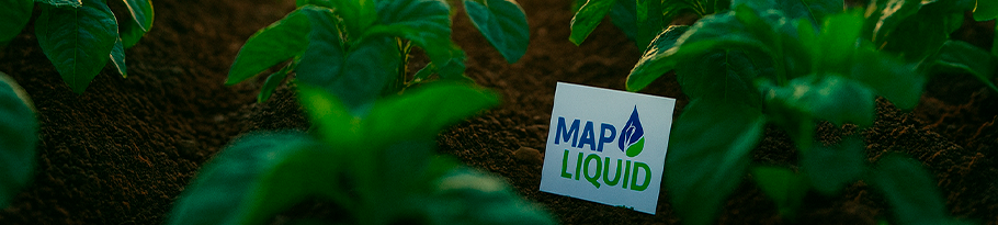 MAP LIQUID